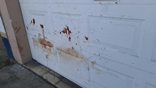 En el portón de una de las viviendas quedó evidencia de la golpiza que recibió el delincuente. (Foto: Redes Sociales)