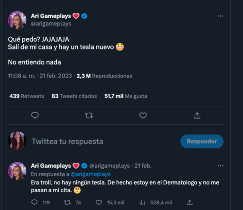 Quién es Ari Gameplays? La streamer mexicana a quien Elon Musk contactó en  Twitter - El Sol de México