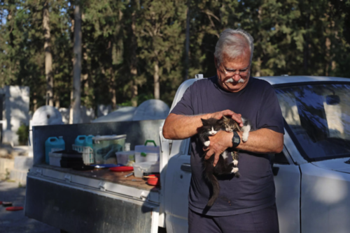 Dinos Agiomamitis es un chipriota que alimenta a todas las mañanas gatos callejeros. (Foto: AFP)