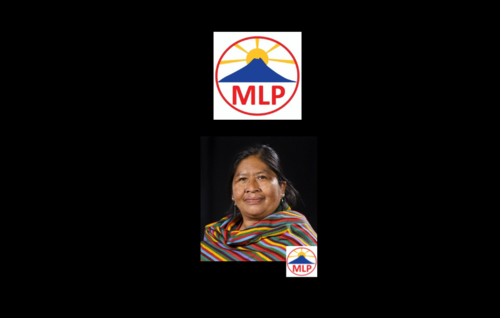 El partido MLP lleva a 1 diputado a la reelección. (Foto: Soy502)