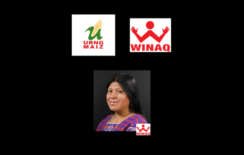 La coalición URNG-Winaq lleva a 1 diputado a la reelección. (Foto: Soy502)
