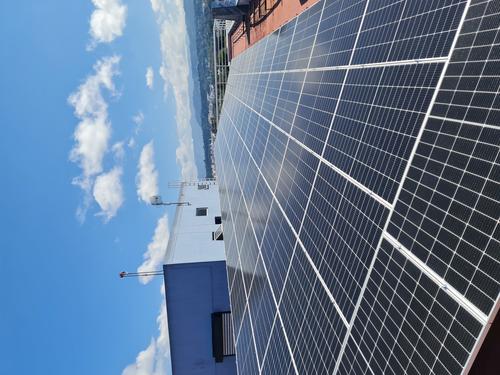 Reinerstrom LLC, energía renovable, sector empresarial, granjas solares, Guatemala, Soy502
