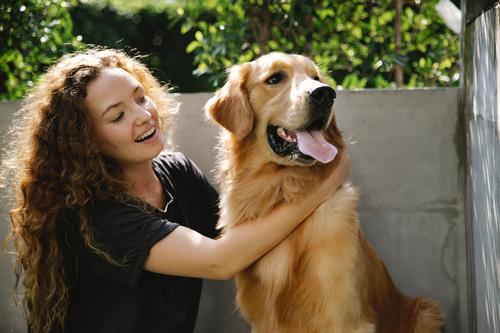 Los perros reconocían a las personas que ayudaron. (Fotos: Pexels)