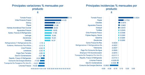 Estas son las principales variaciones e incidencias mensuales por producto de la canasta básica, según el reporte del INE. (Foto: INE/Soy502)