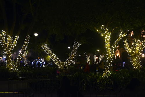 Los árboles son elementos decorativos en esta época. (Foto: Fredy Hernández/Soy502)