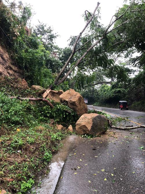 CORED reporta derrumbe en aldea Quiriguá, km 204.5 CA-9 Norte, Los Amates, Izabal. (Foto: CONRED)