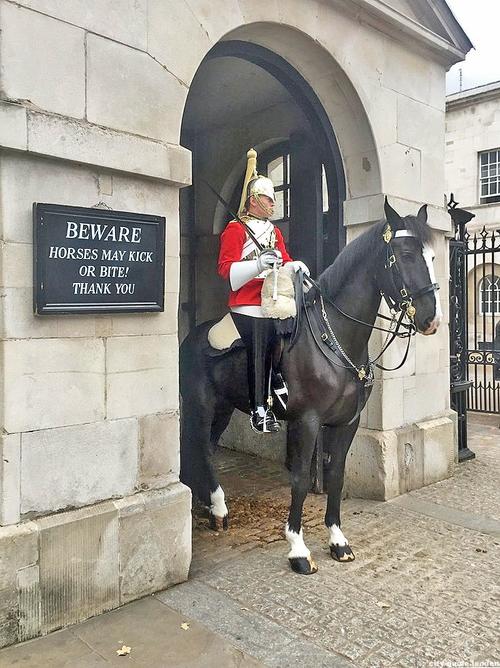 "Tener cuidado ¡Los caballos pueden patear o morder! Gracias", reza la garita del soldado en Horse Guards, Whitehall (Foto: Captura de pantalla)