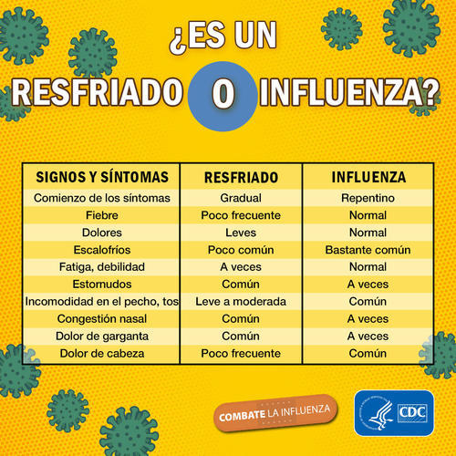 Tanto la gripe como la influenza presentan una sintomatología muy parecida. (Foto: CDC)