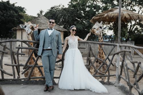 Guatemaltecos, Zoológico La Aurora, boda, fotos virales