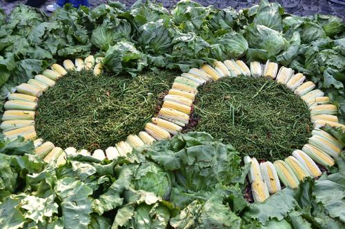 Elotes, zanahorias, pepinos, lechugas, cebollas, rábanos, apios y jalapeños son utilizados. (Foto: Fredy Hernández / Soy502)