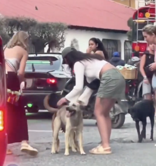 Las turistas querían ayudar a los perros sin saber lo que ocurría. (Foto: captura de video)