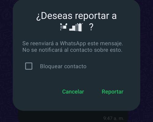 Reporte de mensaje en WhatsApp.