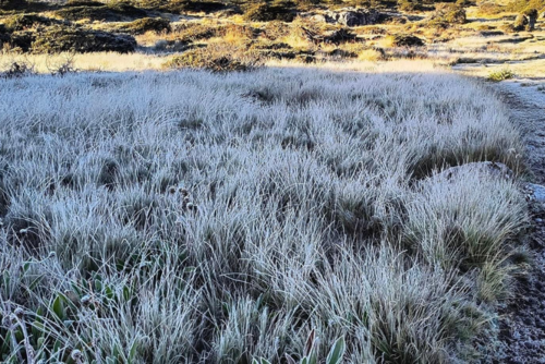 Sierra los Cuchumatanes registra las primeras heladas. (Foto: Esteban Matías)