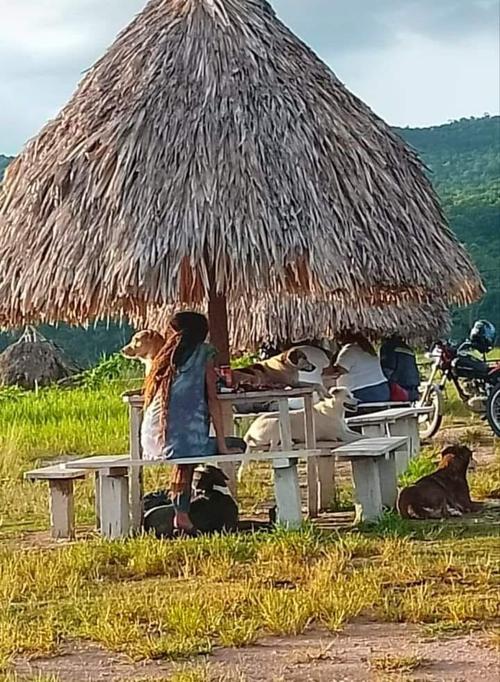 Foto: captura de pantalla