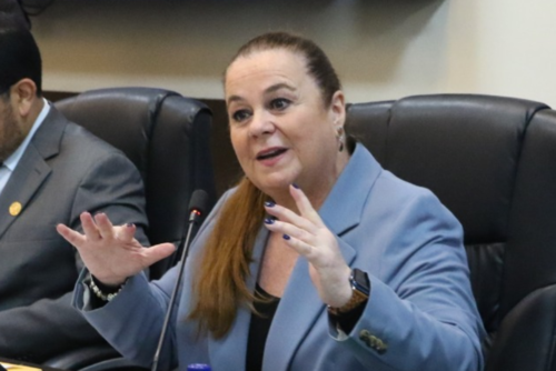 La jefa del Mineduc, Anabella Giracca, habló sobre el nuevo pacto colectivo del magisterio y el avance de los procesos. (Foto: Congreso)