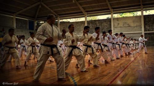 Aprender artes marciales o defensa personal es muy útil.