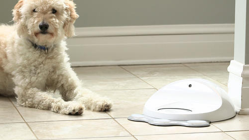 El dispositivo tiene tres almohadillas sensibles al tacto, que se encienden de manera interactiva y han sido diseñadas para la nariz o la pata del can, que obtiene alimentos cuando las pulsa. (Foto: EFE)
