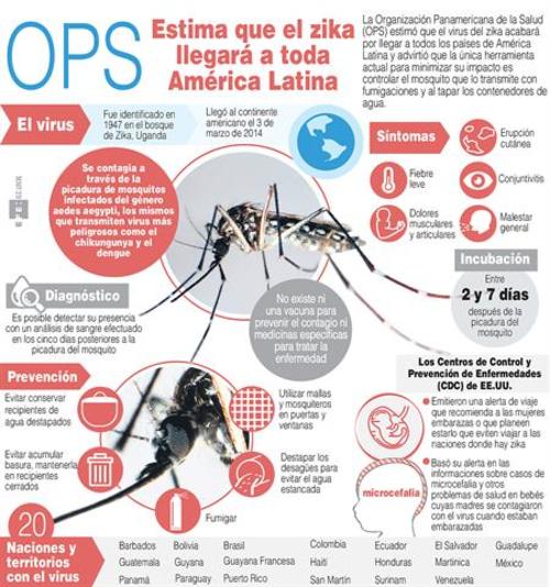 Infografía sobre el Zika. (Foto: EFE)