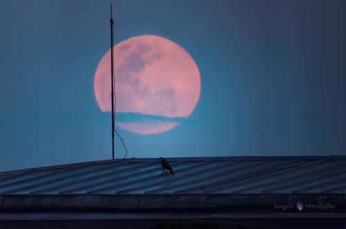 El tamaño de la Luna es producto de un efecto óptico. (Foto: Sergio Montúfar/Cortesía Edgar Castro Bathen).