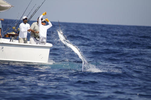 En la 74 edición Guatemala será el país organizador del torneo de pesca. (Foto: Inguat)