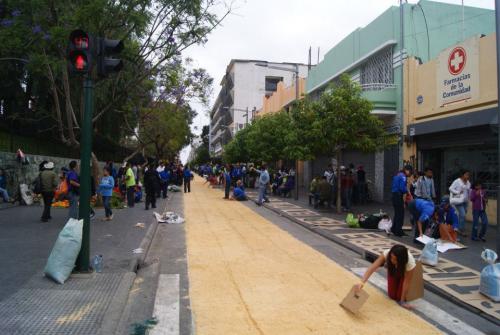 Más de 3 mil voluntarios participarán en la elaboración de la alfombra que inicia desde el Parque Jocotenango y finaliza en la 18 calle, zona 1. (Foto: Muni Guate) 