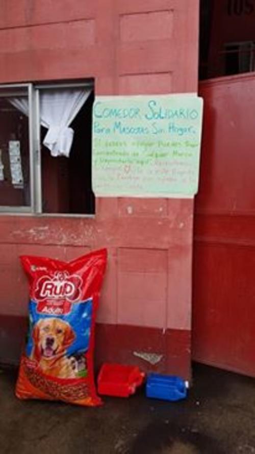 Los Bomberos Voluntarios de Villa Canales fomentan la instalación de comedores para perros sin hogar. (Foto: Bomberos Voluntarios)