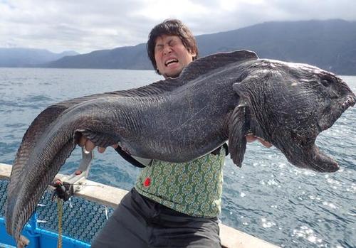 El pescador muestra el enorme pez lobo que capturó en cercanías a la central nuclear de Fukushima. (Foto: @hirahiroro)