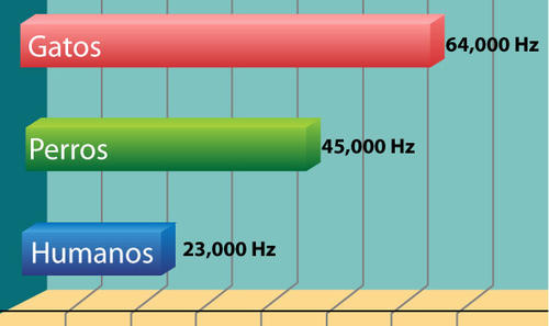 Gatos, perros y otros animales tienen la capacidad de escuchar un rango de frecuencia más alto que los seres humanos. (Gráfico: Comunidad Gatuna)