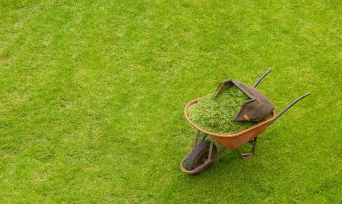 Recuerda que haya lo que haya en tu jardín necesita un cuidado especial. (Foto: Pinterest)