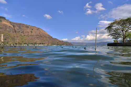 La formula que se iba a utilizar para limpiar el lago de Amatitlán es dañina, incluso puede quemar la piel, según el Ministerio Público. (Foto: Archivo/Soy502)