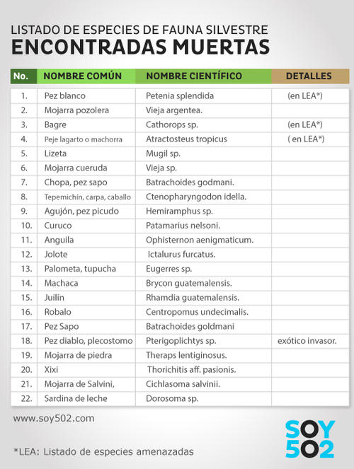 Este es el listado de especies que fueron encontradas muertas en el río La Pasión, en Petén.