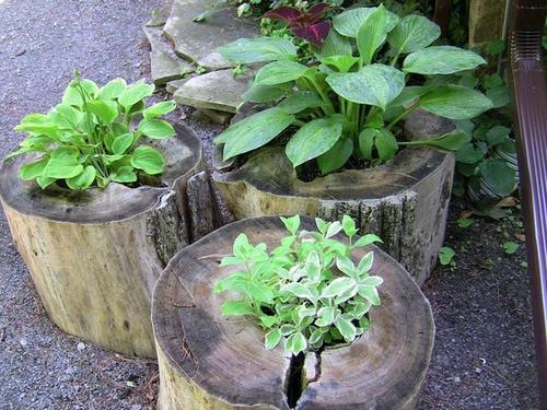 Tronco o simplemente madera es un clásico de clásicos en un jardín. (foto: Pinterest)