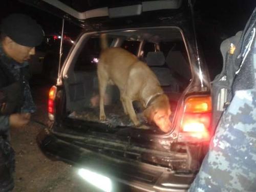 Un perro entrenado para detectar droga localizó la cocaína que estaba escondida en un doble compartimiento del vehículo que era conducido por un adolescente. (Foto: PNC)