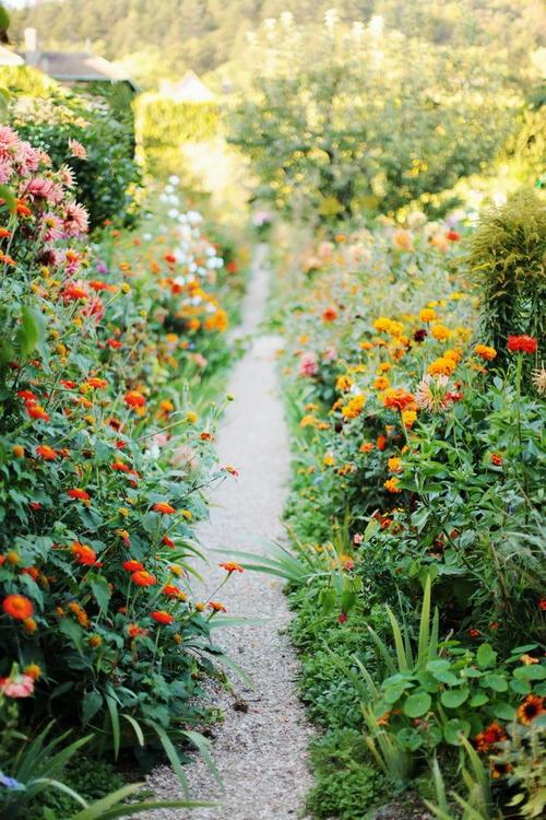 Hay distintos tipos y colores de plantas y flores, elige las que más te gusten y dale vida a tu jardín. (Foto: Pinterest)