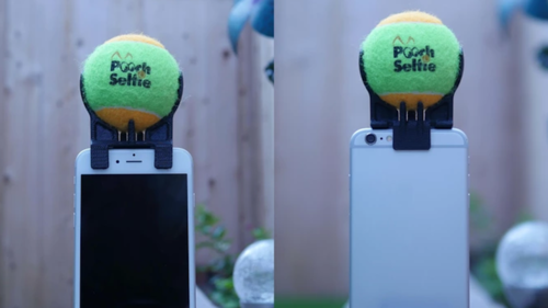 El dispositivo es fácil de usar. (Foto: Pooch Selfie KickStarter) 