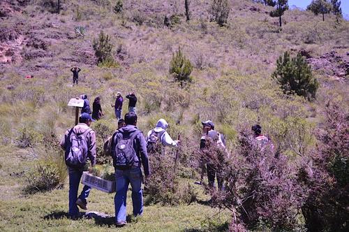 Las parcialidades cuidan 1,778 hectáreas de tierra que incluyen el bosque. (Foto: Asociación de Forestería Comunitaria de Guatemala, Ut'z Che') 