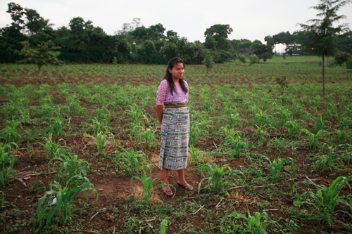 Una guatemalteca en una parcela agrícola cooperativista. (Foto: EFE)