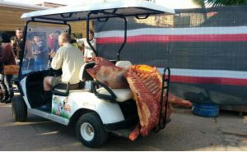 Los trabajadores llevaron comida a los leones del zoológico para distraerlos y poder rescatar al individuo que estaba en medio de los animales. 