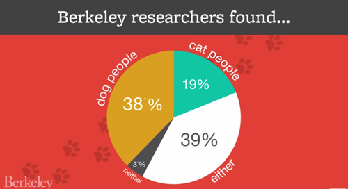 Según el estudio realizado por la Universidad de Berkeley el 38% de los encuestados preferían perros, el 19% gatos, el 39% a ambos y sólo un 3% no gustaban de ninguno de los dos.