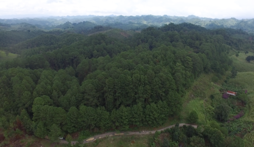 "La Conservación del quetzal" se ubica en Alta Verapaz. (Foto: captura drone/Soy502)