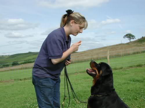 El silbato puede ser utilizado para órdenes como llamara al perro, redirigirlo a otro lugar, y hacer que el perro se siente, aun a distancia. (Foto: Google)