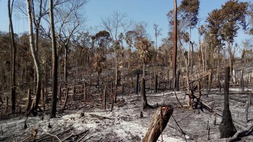 La alerta roja significa que todos los recursos deben estar disponibles las 24 horas por la emergencia. (Foto: Conap)