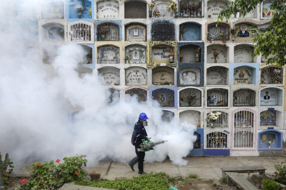 Varios países en América Latina han comenzado campañas de fumigación para evitar el virus del zika. (Foto: AFP)