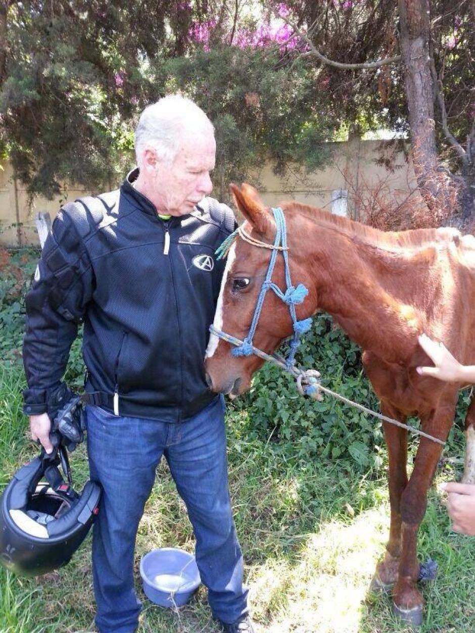 El alcalde Álvaro Arzú decidió adoptar al caballo después de enterarse de su historia. (Foto: Guate unida por los animales)&nbsp;