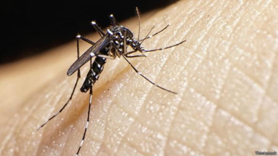 Los principales transmisores son los mosquitos aedes albopictus y aedes aegypti. (Foto: BBC)