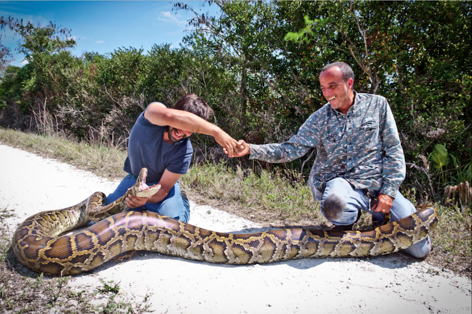 Una serpiente similar a la de la imagen fue capturada y luego asesinada en Florida. (Foto: Flickr/Leonardo Sánchez)