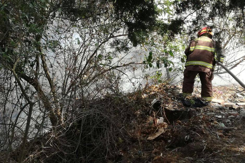 Los bomberos municipales llevan más de tres horas tratando de apagar un incendio que se produjo en un área boscosa del Cementerio General. (Foto: Bomberos Municipales)