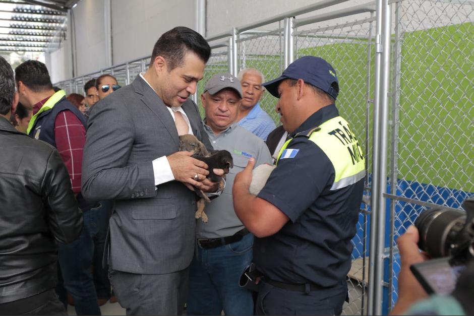 El alcalde se asustó por un perro del albergue municipal. (Foto: Alejandro Balan/Soy502)&nbsp;