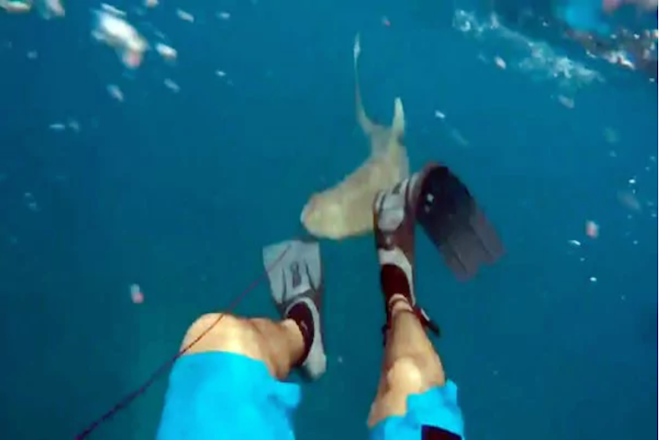 Momento en que el tiburón ataca al pescador en los Cayos de la Florida, Estados Unidos. (Imagen: captura de pantalla)