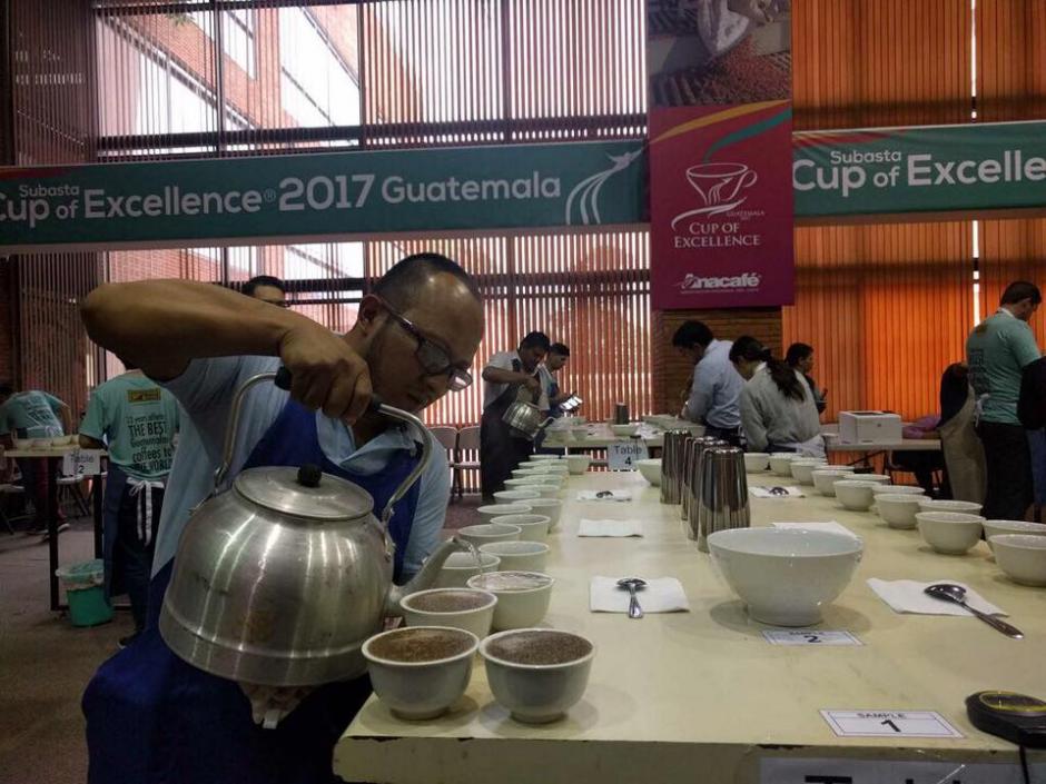 El café guatemalteco tiene un gran aprecio en el mercado asiático. (Foto: Anacafé)